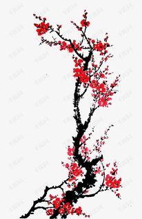 红梅个人资料,坚韧之花，绽放人生精彩